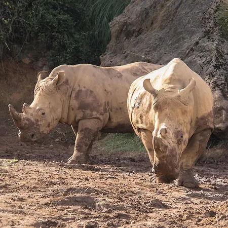 Caserios Ferienhaus *