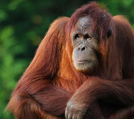 Vakantiehuis Caserios Torrelavega