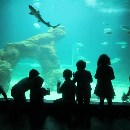 Casa de Férias Caserios *