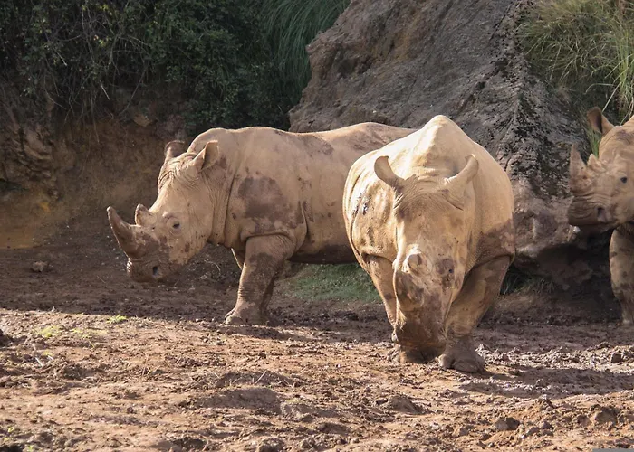 Caserios 度假居 *