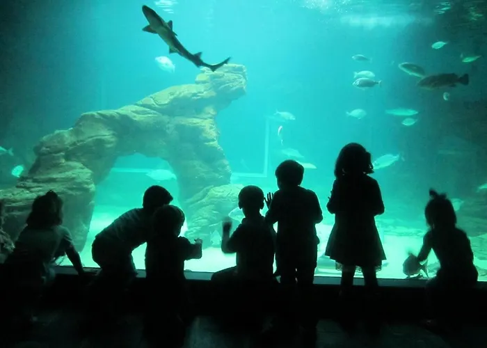 度假居 Caserios *